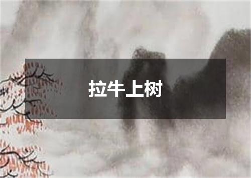 拉牛上树