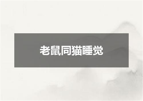 老鼠同猫睡觉