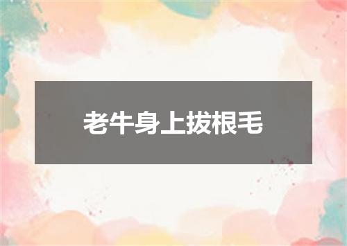 老牛身上拔根毛
