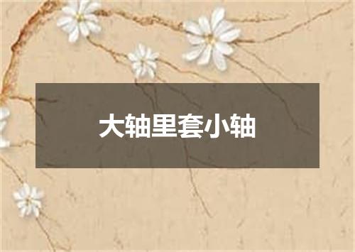 大轴里套小轴