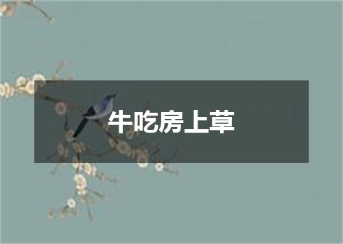 牛吃房上草
