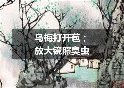 乌梅打开苞；放大镜照臭虫