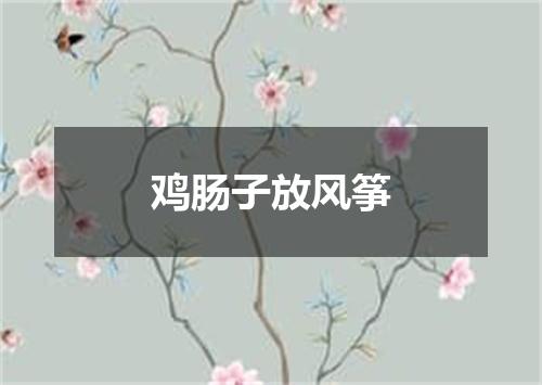 鸡肠子放风筝