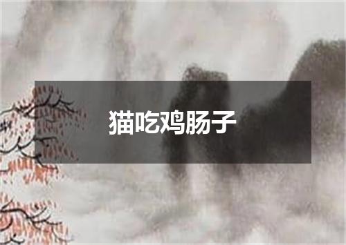 猫吃鸡肠子