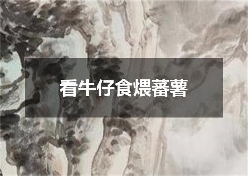 看牛仔食煨蕃薯