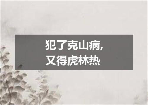 犯了克山病,又得虎林热