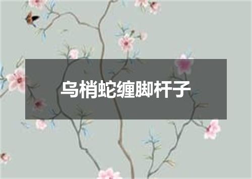 乌梢蛇缠脚杆子