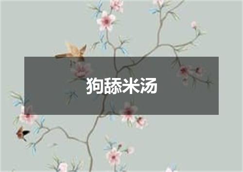 狗舔米汤
