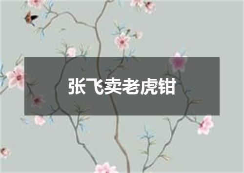 张飞卖老虎钳