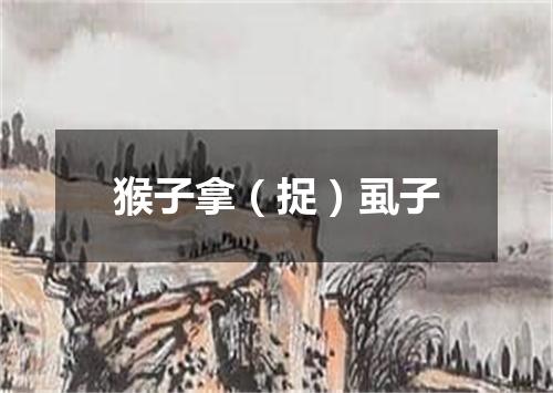 猴子拿（捉）虱子