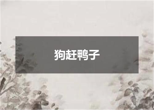 狗赶鸭子