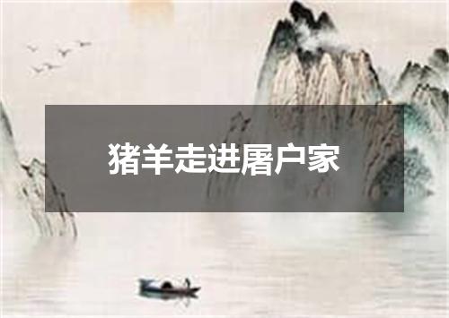 猪羊走进屠户家