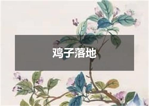 鸡子落地