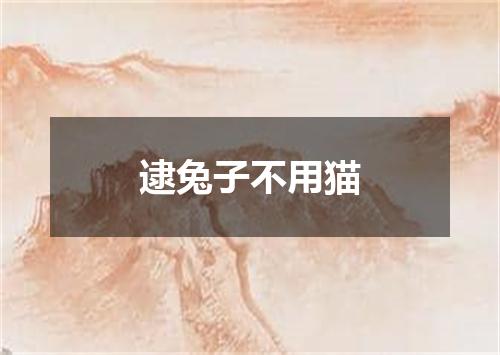 逮兔子不用猫