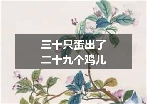三十只蛋出了二十九个鸡儿