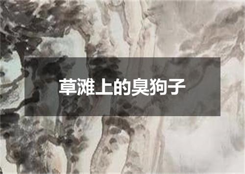 草滩上的臭狗子
