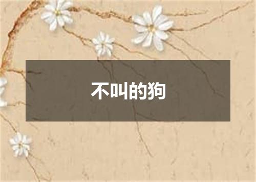 不叫的狗