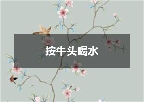 按牛头喝水