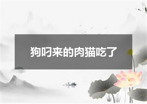狗叼来的肉猫吃了