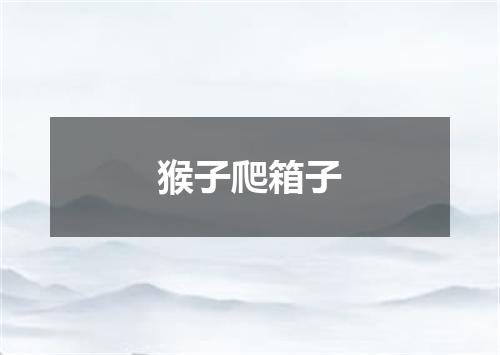 猴子爬箱子