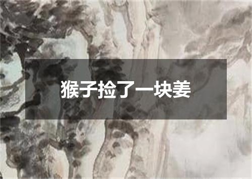 猴子捡了一块姜