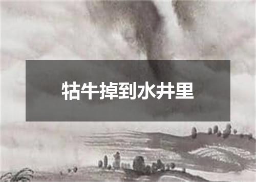 牯牛掉到水井里