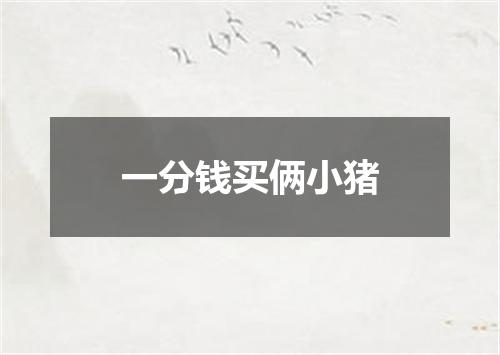 一分钱买俩小猪