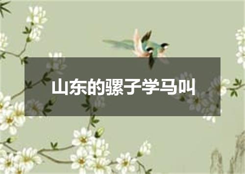 山东的骡子学马叫