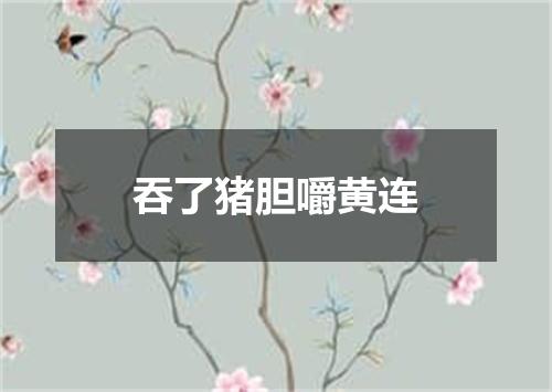 吞了猪胆嚼黄连