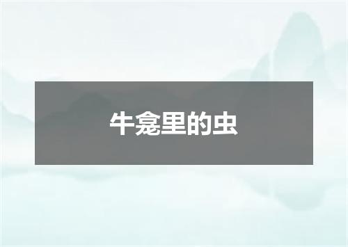 牛龛里的虫