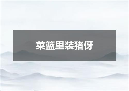 菜篮里装猪伢