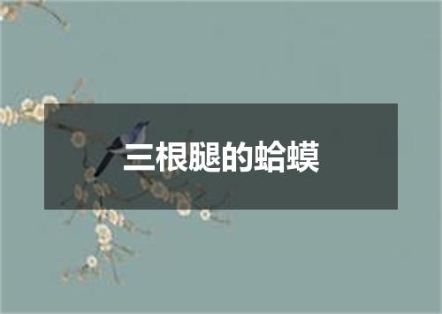 三根腿的蛤蟆