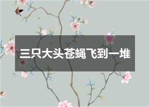 三只大头苍蝇飞到一堆