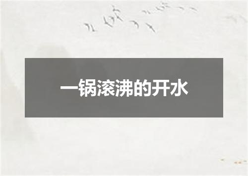 一锅滚沸的开水