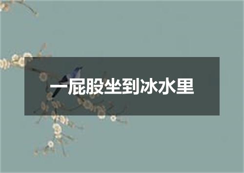 一屁股坐到冰水里