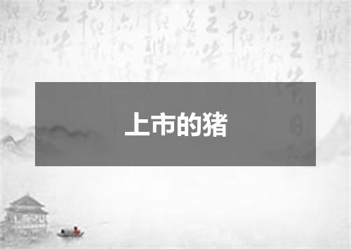 上市的猪