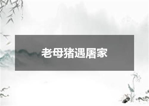 老母猪遇屠家