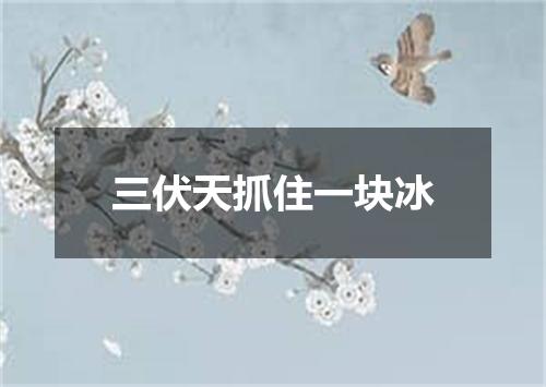 三伏天抓住一块冰