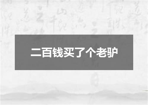 二百钱买了个老驴