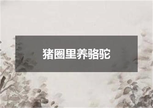 猪圈里养骆驼