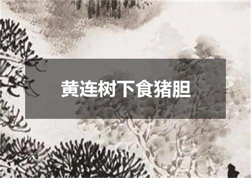 黄连树下食猪胆