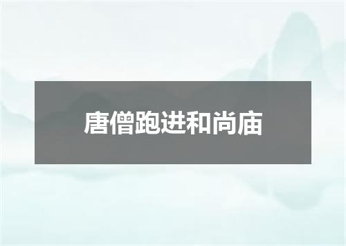 唐僧跑进和尚庙