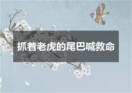 抓着老虎的尾巴喊救命