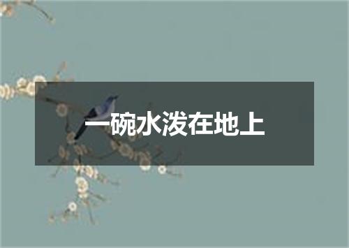 一碗水泼在地上