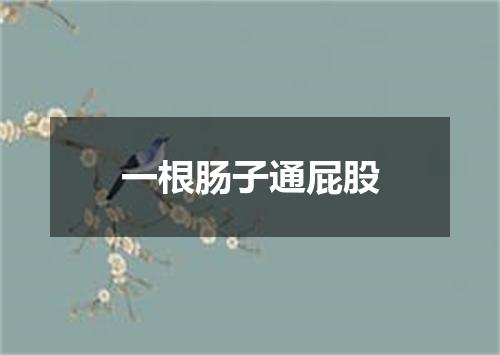 一根肠子通屁股