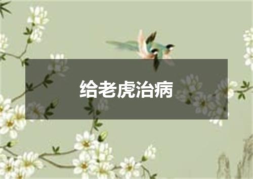 给老虎治病