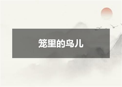 笼里的鸟儿