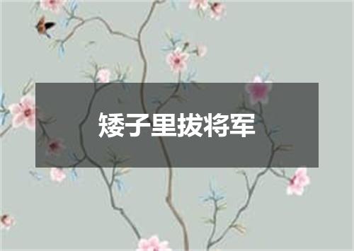 矮子里拔将军