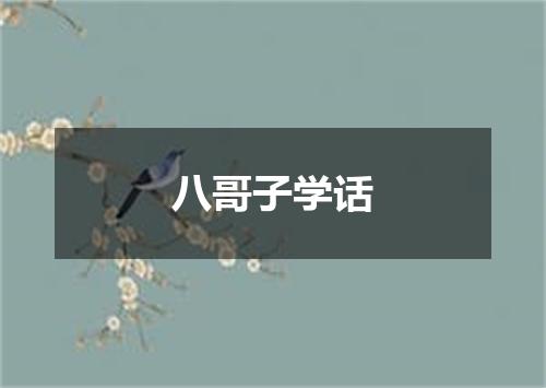 八哥子学话