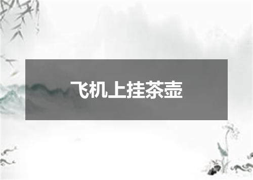 飞机上挂茶壶